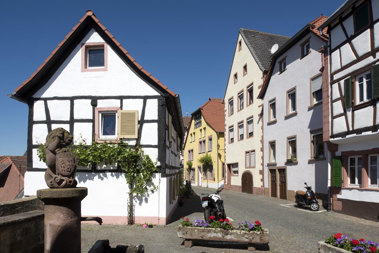Burggarten Appartements Neuleiningen Buitenkant foto