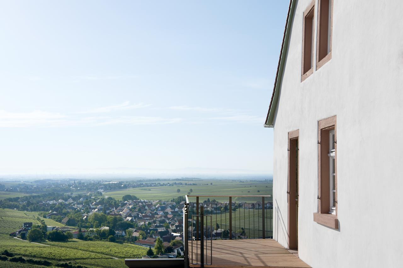 Burggarten Appartements Neuleiningen Buitenkant foto