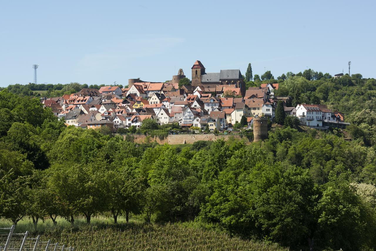 Burggarten Appartements Neuleiningen Buitenkant foto